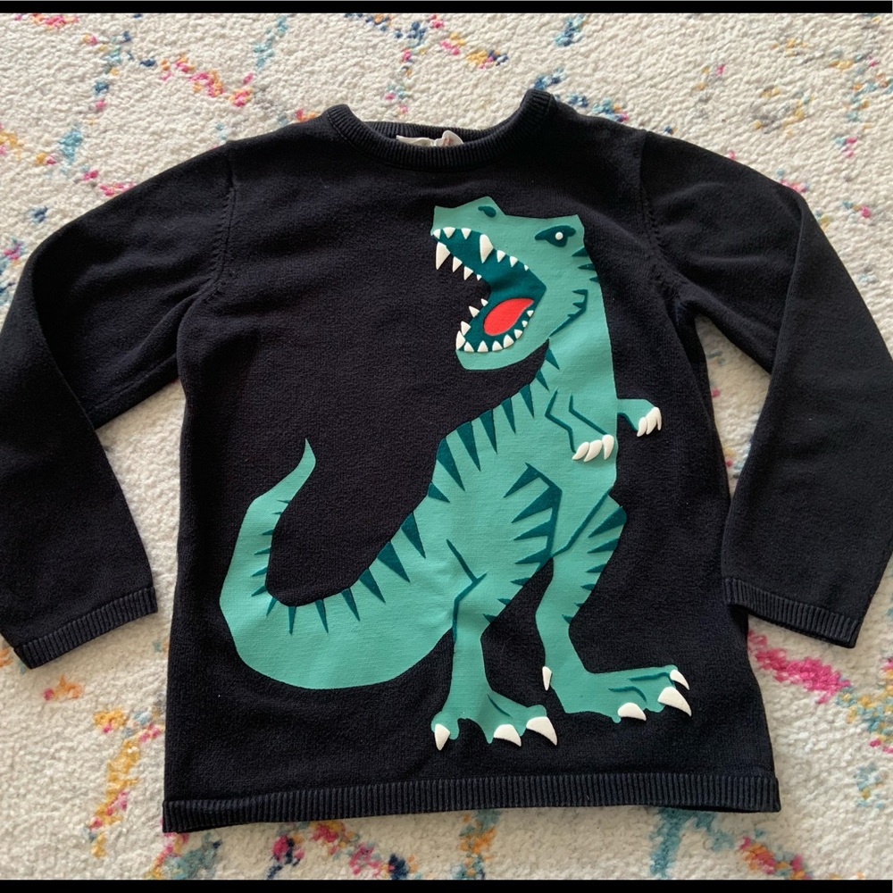 H&M Dinosaur Sweater